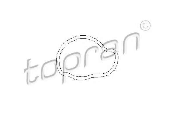 Прокладка, термостат