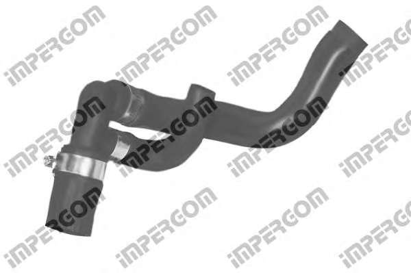 Шланг радиатора