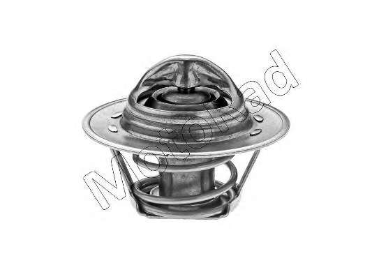 Термостат, охлаждающая жидкость