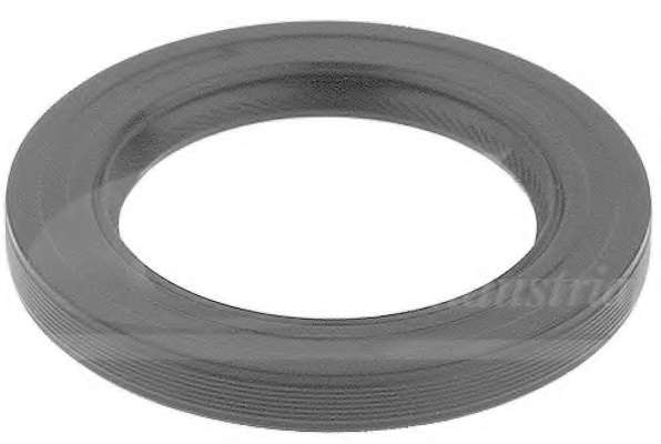 Уплотняющее кольцо, коленчатый вал; Уплотняющее кольцо, распределительный вал