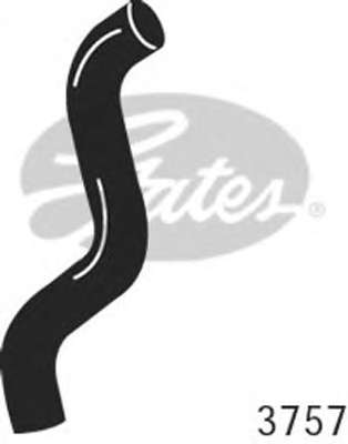 Шланг радиатора