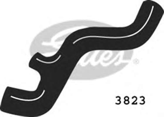 Шланг радиатора